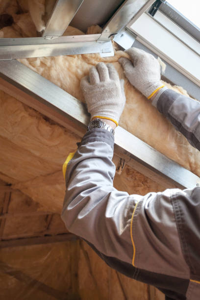 Best Insulation Repair Services  in USA